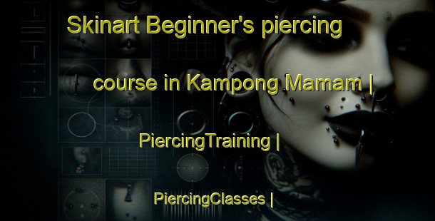 Skinart Beginner's piercing course in Kampong Mamam | PiercingTraining | PiercingClasses | SkinartTraining-Singapore